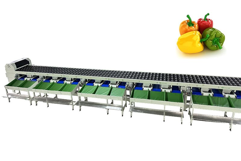 images/1681981061582pepper grading equipment.jpg